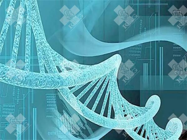 西安试管婴儿2025年全解析费用成功率?一目了然助你轻松了解!