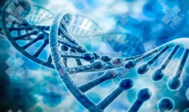 在武汉做试管婴儿要多少钱？费用医保能报销吗？