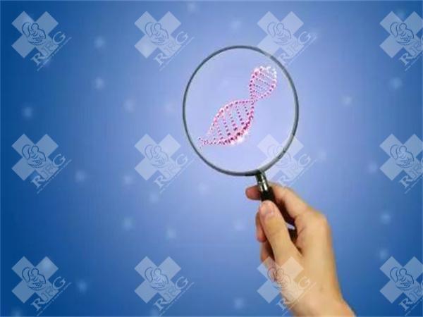 马来西亚三代试管婴儿技术与国内对比如何？