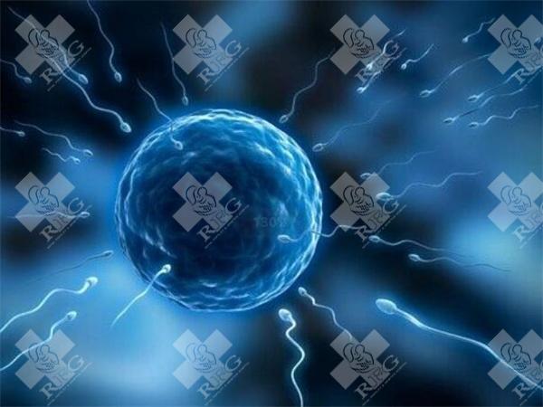 海外试管助孕成功的孕妇如何合理科学地度过早孕？