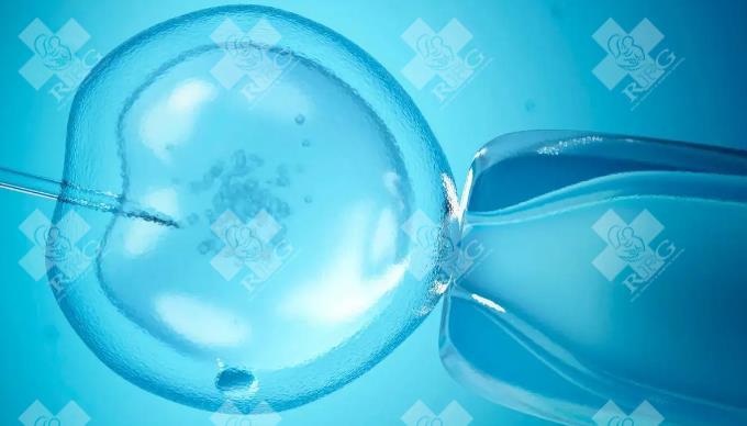精子DNA损伤率15.5%到30%之间，ICSI成功率如何？