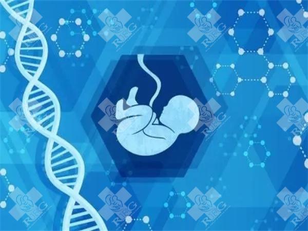 柬埔寨三代试管费用构成及影响因素深度解析