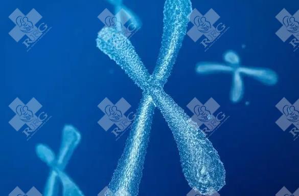 长沙中信湘雅医院做试管婴儿成功率吗？哪个医生好？