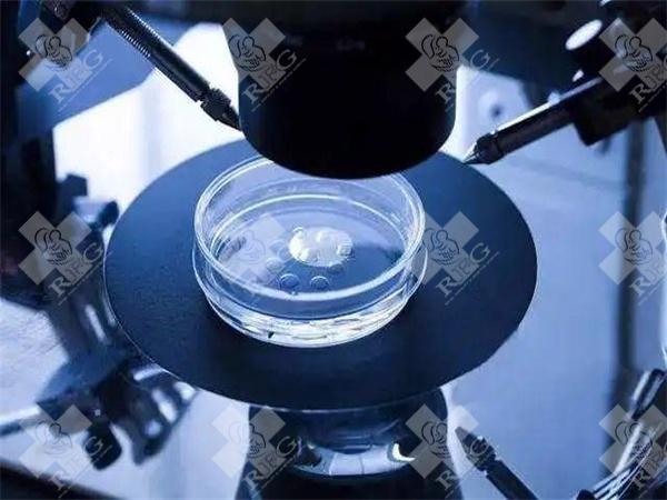 川北医学院附院做试管婴儿需要多少钱?具体花费在哪些项目