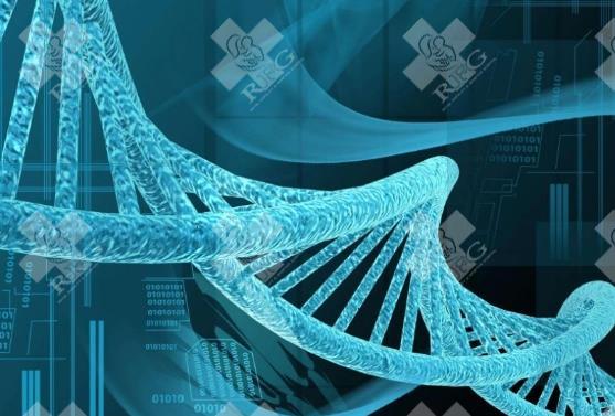 北京大学第三医院试管婴儿的费用是多少？看完就知道了！