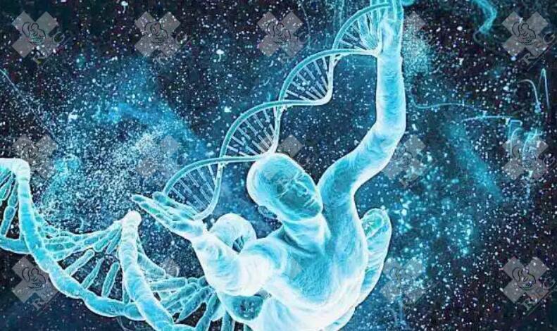 南宁三代试管婴儿详细流程参考，检查到验孕共七步