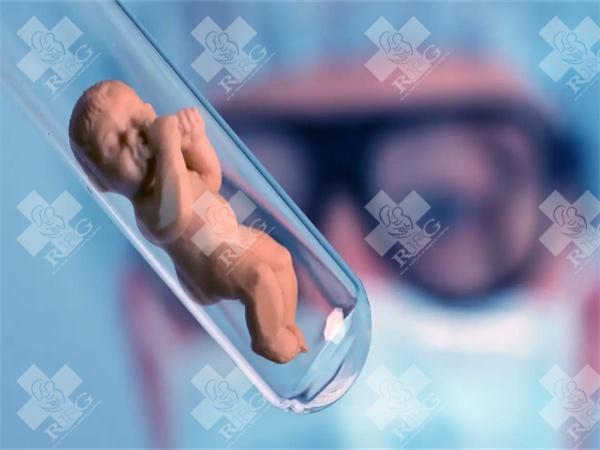 2025年在赤峰市做试管婴儿费用多少？成功率如何？
