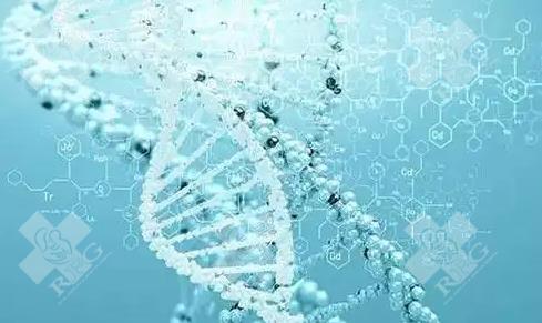 三代试管婴儿在重庆妇幼保健院的费用是多少？医疗保险能报销吗？