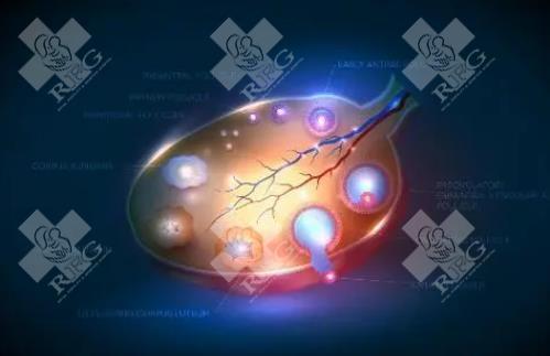 2025年试管的一般价格是多少？婴儿能想要超雄综合征吗？