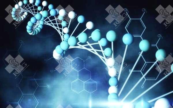 俄罗斯做第三代试管婴儿费用及流程?成功率高达85%是真的吗？
