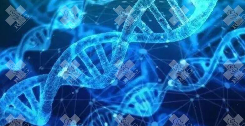 决定囊胚活检率的因素公布，胚胎质量、数量均有影响