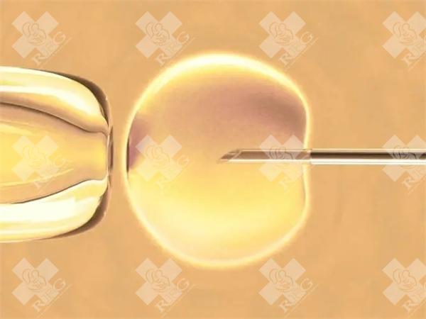 试管婴儿三代筛查费用，筛查一个胚胎多少钱？