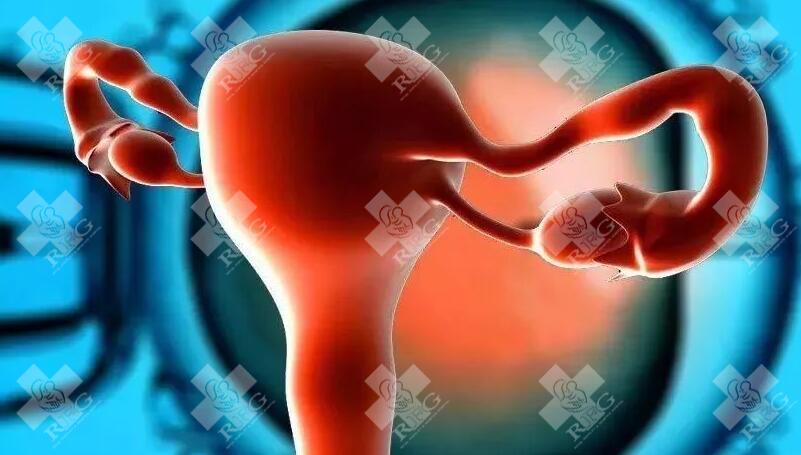 多囊卵巢可以做试管吗？多囊病人做三代试管的治疗方案详细说明
