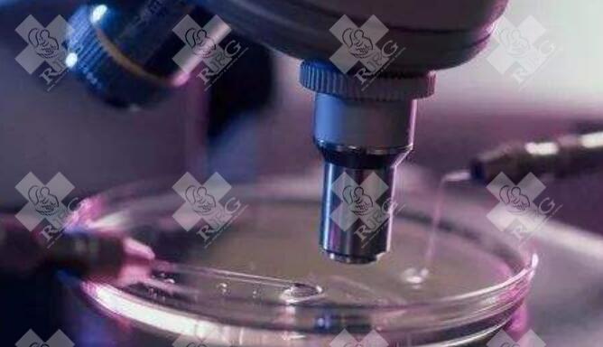 罗氏易位做试管医院选择：具备 PGT 资质机构的技术优势与案例量