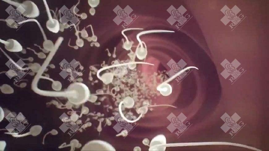 子宫肌瘤试管成功率高吗？试管成功率的原因及解释