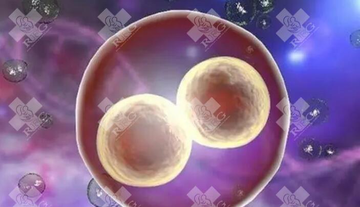 罗氏易位自然受孕 vs 试管：为何建议借助辅助生殖技术规避风险？