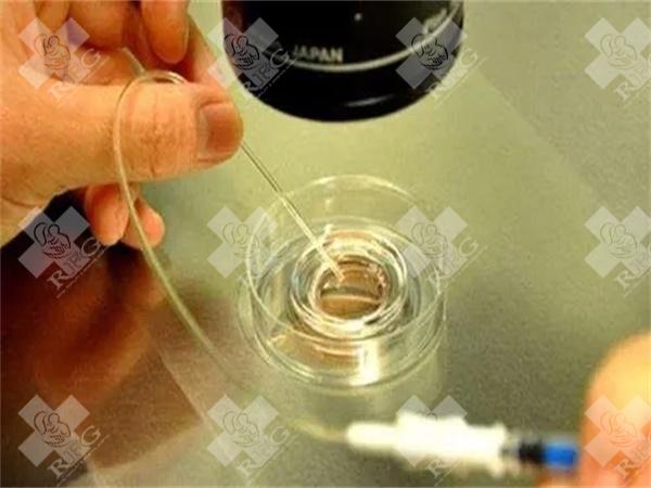 锦州妇婴做试管婴儿成功率及费用明细一览