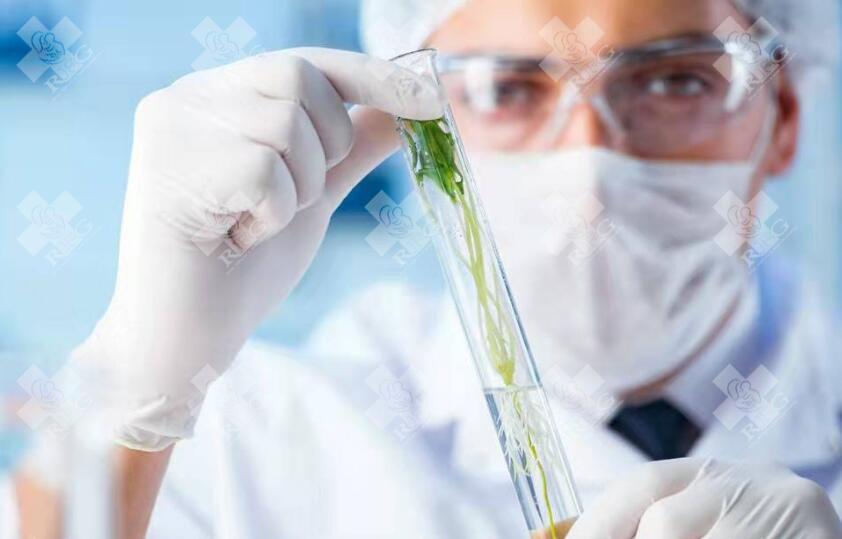 泰国试管婴儿洗精技术有哪些优势？