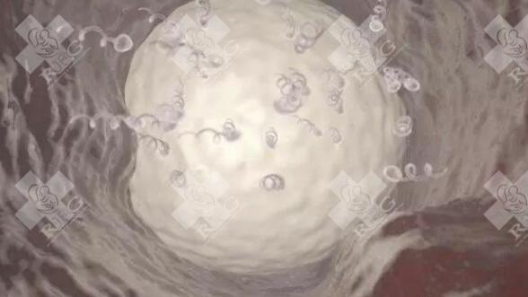 中信湘雅医院做试管婴儿的成功率高吗？