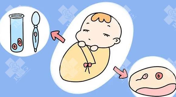 2025年想做试管是选私立的好还是公立的好？