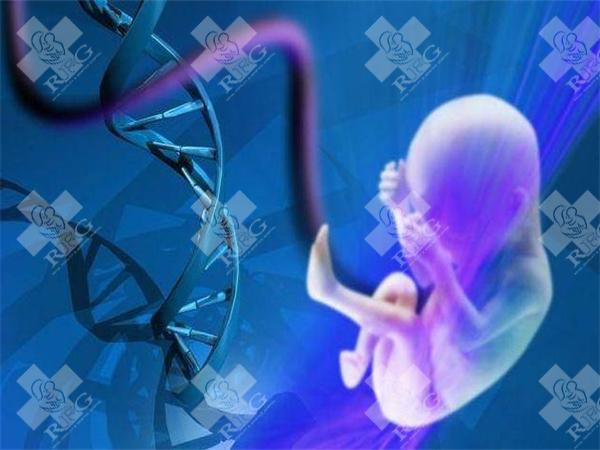 2025年在长春试管婴儿做一次多少钱一次?当地姐妹推荐的怀孕辅助机构介绍